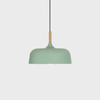 Acorn Ceiling Pendant Lighting Lobby