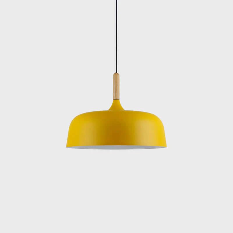 Acorn Ceiling Pendant Lighting Lobby