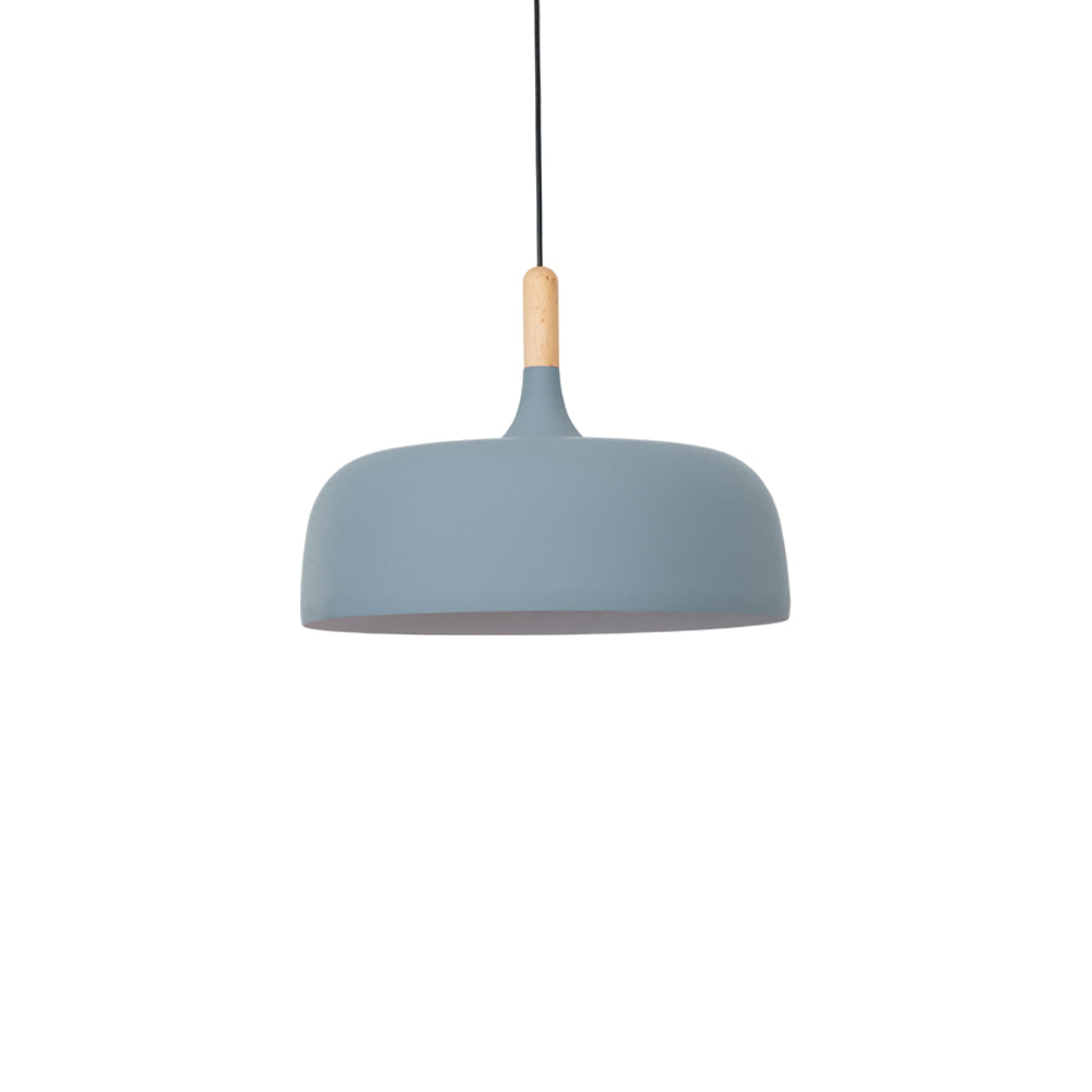 Acorn Ceiling Pendant Lighting Lobby