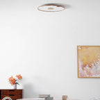 Acrylic Lotus Leaf Ceiling Light Lighting Lobby