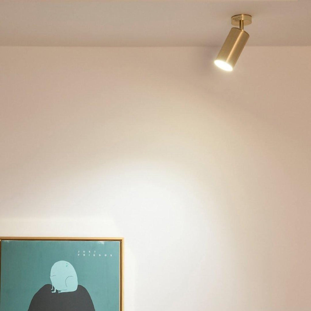 Adjustable Ceiling Spotlight Fixture Lighting Lobby