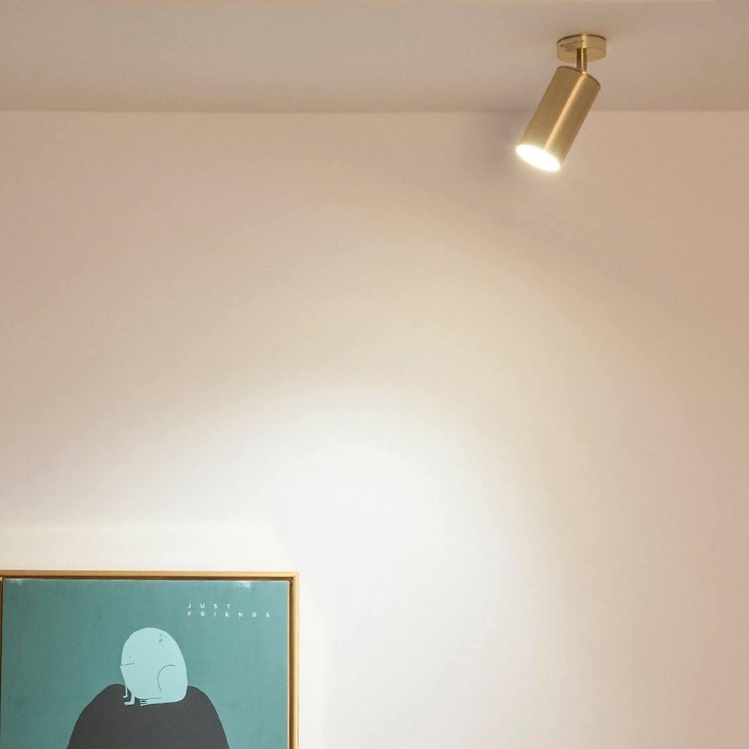 Adjustable Ceiling Spotlight Fixture Lighting Lobby
