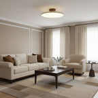 Adjustable Drift Ceiling Fixture Lighting Lobby