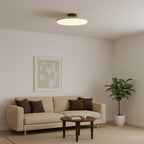 Adjustable Drift Ceiling Fixture Lighting Lobby