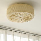Adler Ceiling Fixture Lighting Lobby