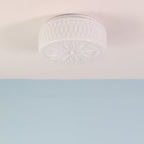 Adler Ceiling Fixture Lighting Lobby