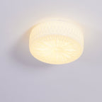 Adler Ceiling Fixture Lighting Lobby