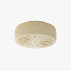 Adler Ceiling Fixture Lighting Lobby