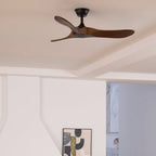 Aero Zephyr Ceiling Fan Lighting Lobby