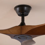 Aero Zephyr Ceiling Fan Lighting Lobby