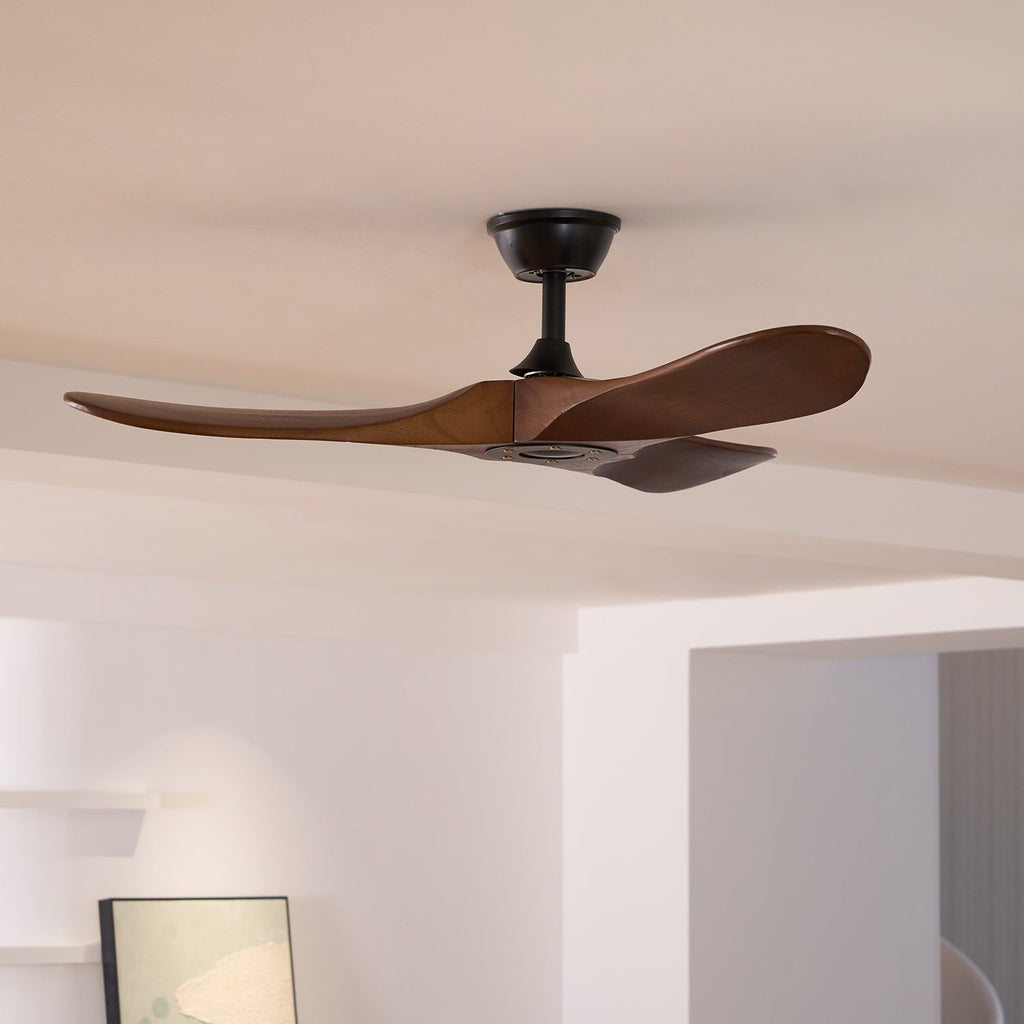 Aero Zephyr Ceiling Fan Lighting Lobby