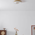 Ayla LED Ceiling Flush Mount Light Lighting Lobby