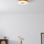 Ayla LED Ceiling Flush Mount Light Lighting Lobby