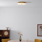 Ayla LED Ceiling Flush Mount Light Lighting Lobby