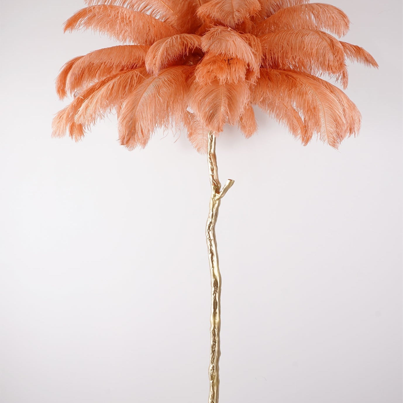 Brass Floor Lamp With Ostrich Feather Lighting Lobby