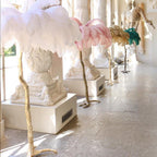 Brass Floor Lamp With Ostrich Feather Lighting Lobby