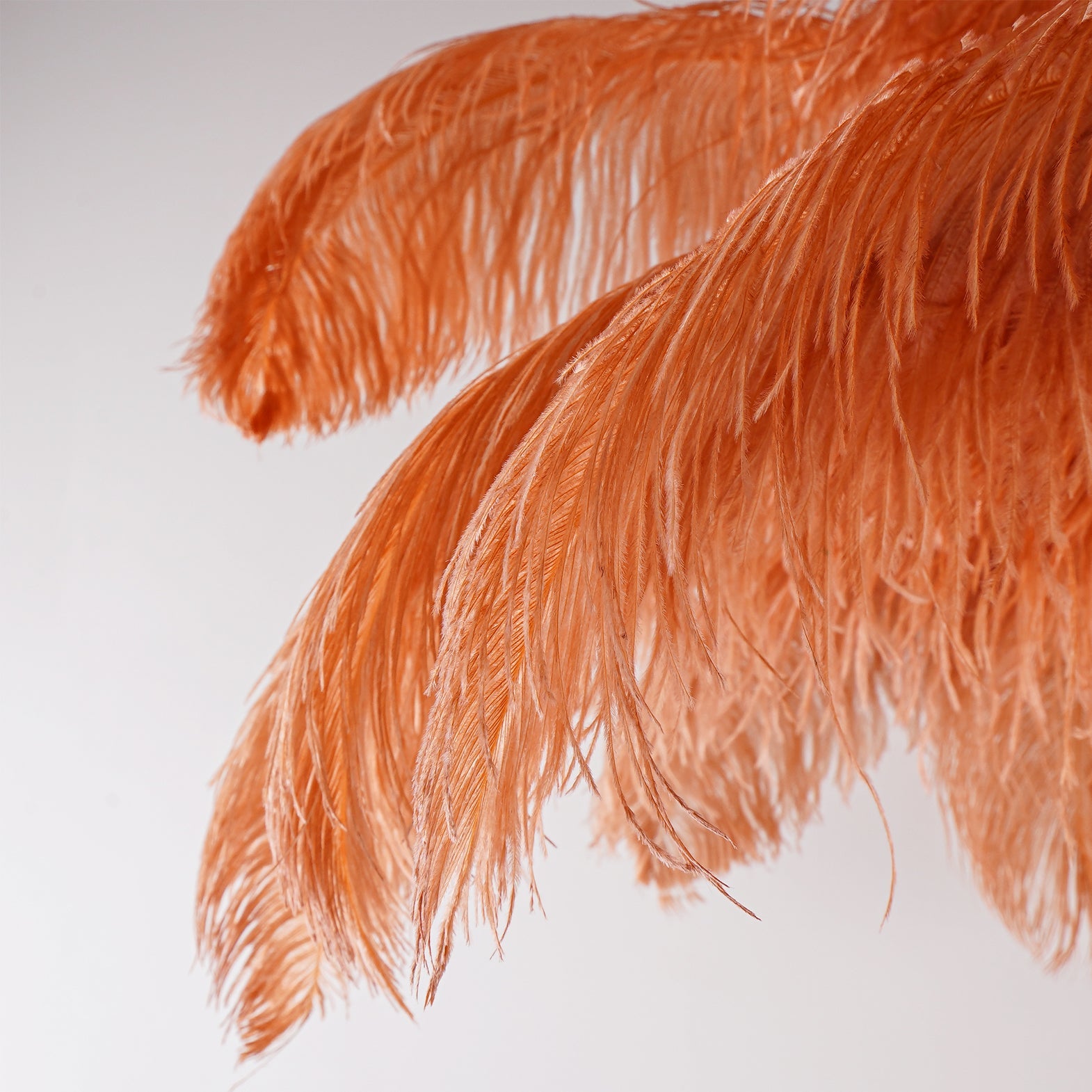 Brass Floor Lamp With Ostrich Feather Lighting Lobby