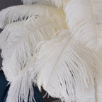Brass Floor Lamp With Ostrich Feather Lighting Lobby