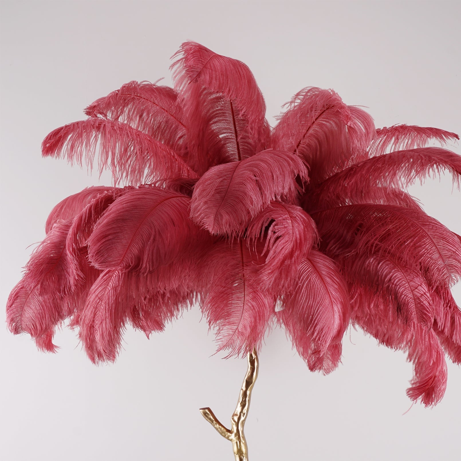 Brass Floor Lamp With Ostrich Feather Lighting Lobby