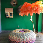 Brass Floor Lamp With Ostrich Feather Lighting Lobby