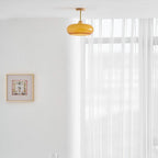 Ceiling Light Fixture Lighting Lobby