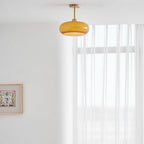 Ceiling Light Fixture Lighting Lobby