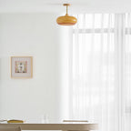 Ceiling Light Fixture Lighting Lobby