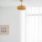 Ceiling Light Fixture Lighting Lobby