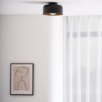 Ceiling Lumosphere Pendant Light Lighting Lobby