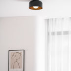 Ceiling Lumosphere Pendant Light Lighting Lobby