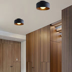 Ceiling Lumosphere Pendant Light Lighting Lobby
