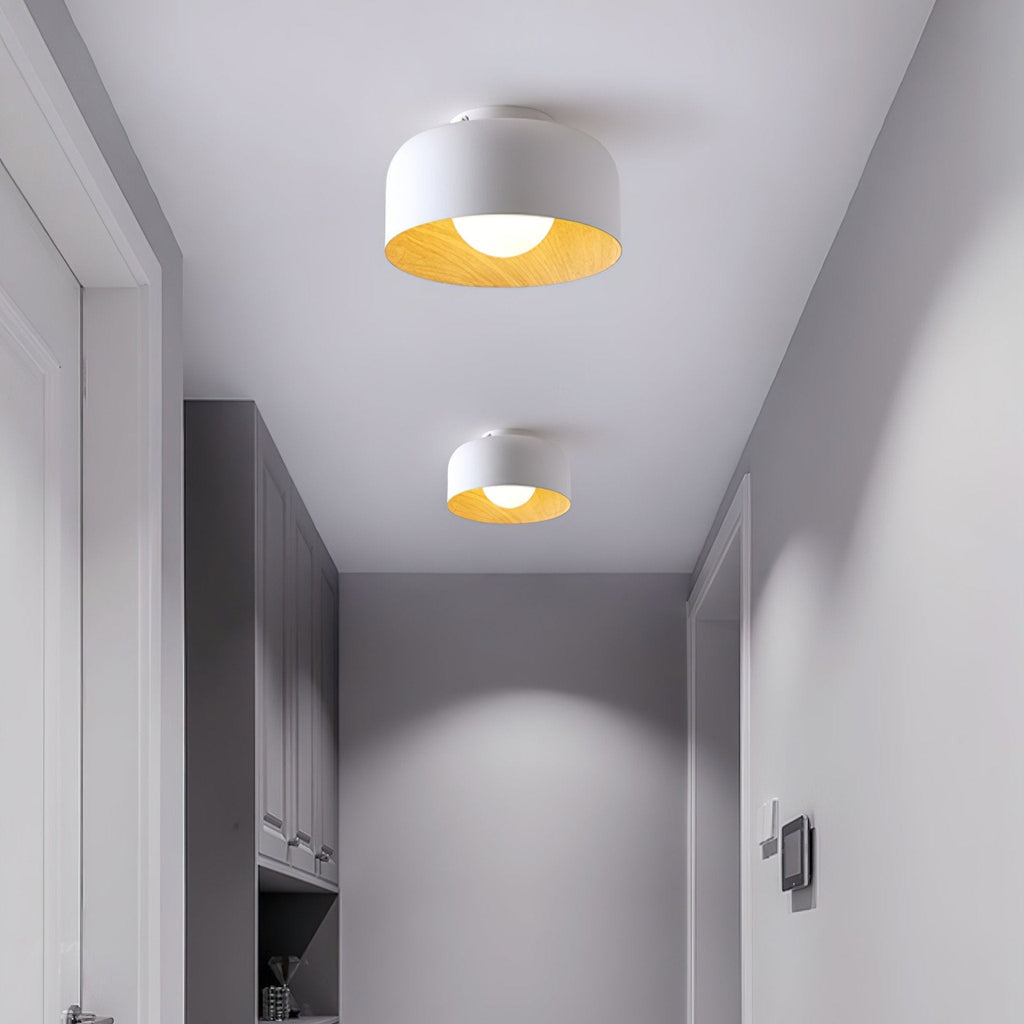 Ceiling Lumosphere Pendant Light Lighting Lobby