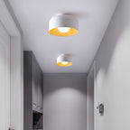 Ceiling Lumosphere Pendant Light Lighting Lobby