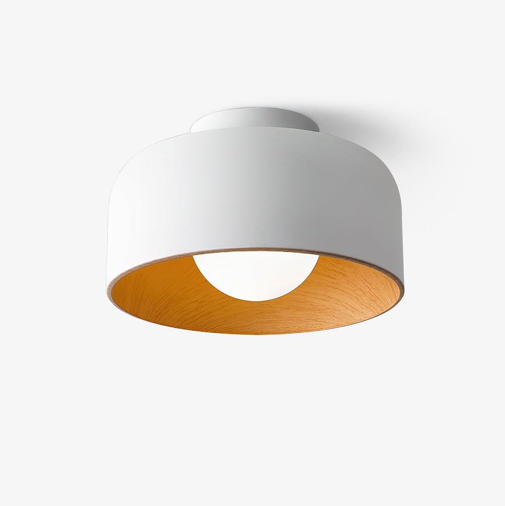 Ceiling Lumosphere Pendant Light Lighting Lobby