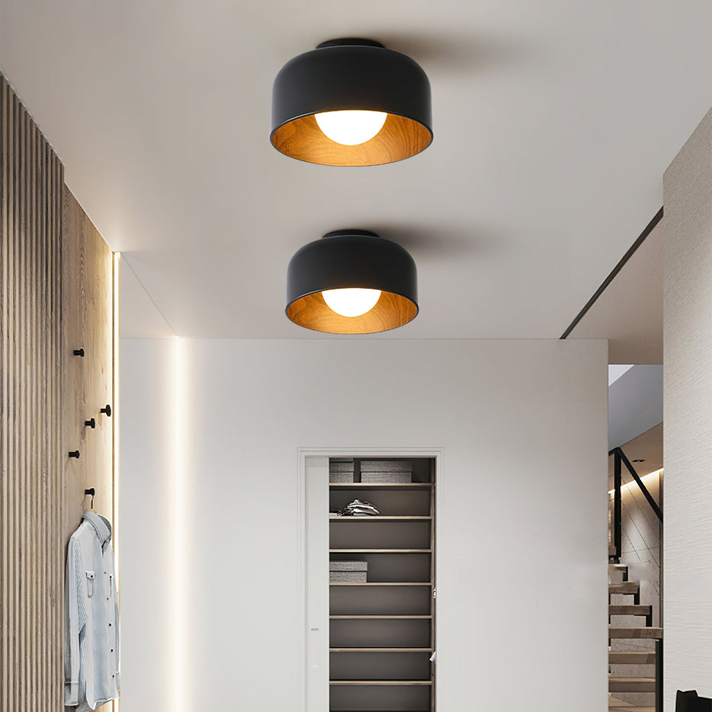 Ceiling Lumosphere Pendant Light Lighting Lobby