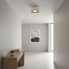 Ceiling Lumosphere Pendant Light Lighting Lobby