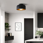 Ceiling Lumosphere Pendant Light Lighting Lobby