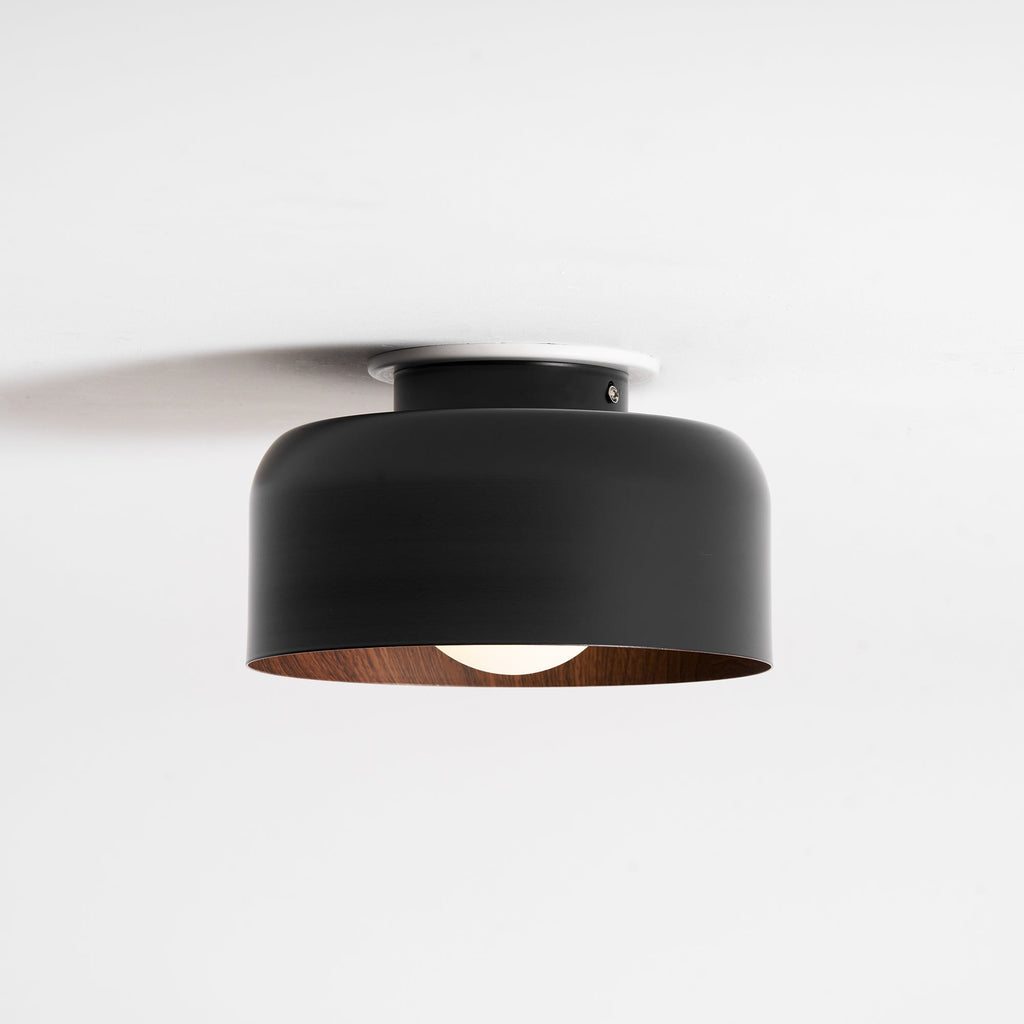 Ceiling Lumosphere Pendant Light Lighting Lobby