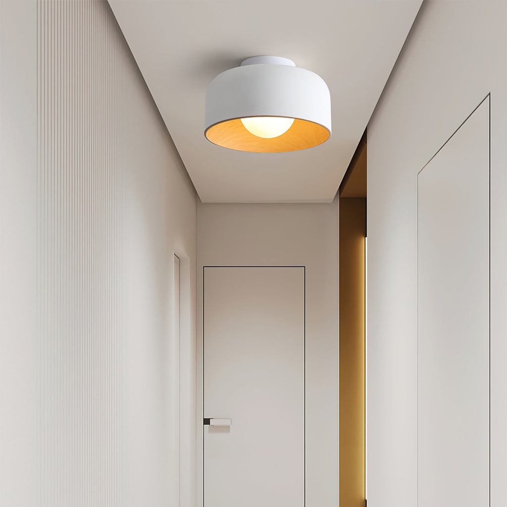 Ceiling Lumosphere Pendant Light Lighting Lobby