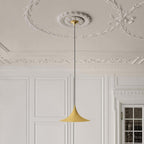 Ceiling Pendant Lamp Lighting Lobby
