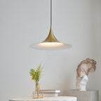 Ceiling Pendant Lamp Lighting Lobby