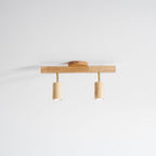 Ceiling Spotlight Fixture With Natural Wood Beam Lighting Lobby