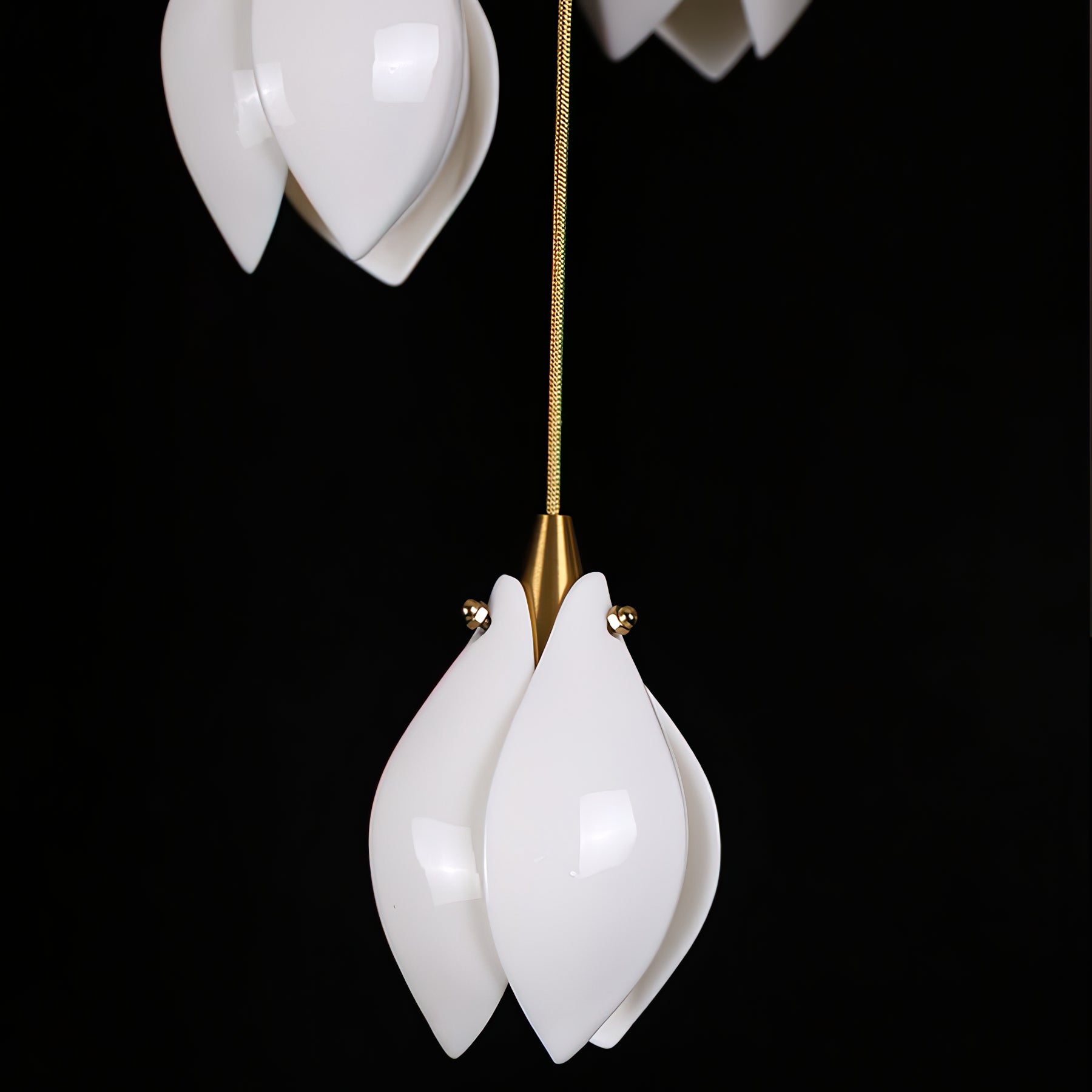 Celeste Flora Ceiling Pendant Lighting Lobby
