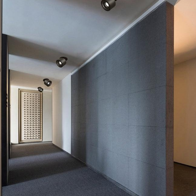 Contemporary Ember Ceiling LED Downlight Lighting Lobby