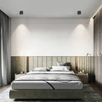 Contemporary Ember Ceiling LED Downlight Lighting Lobby