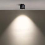 Contemporary Ember Ceiling LED Downlight Lighting Lobby