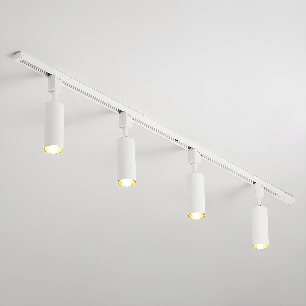 Elegant Cylinder Ceiling Fixture Lighting Lobby