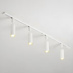 Elegant Cylinder Ceiling Fixture Lighting Lobby
