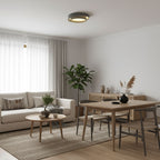 Harmony Ceiling Pendant Lighting Lobby