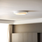 Harmony Ceiling Pendant Lighting Lobby